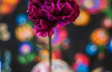 Sosnowy Raj domki nad rzeką Wkrą - Foto 52