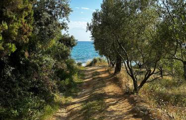 Villa Helga by the Sea - Photo 7