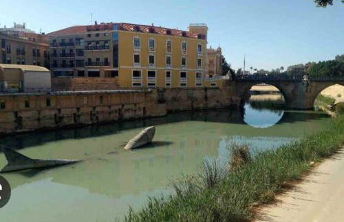 Centro Plaza Sardoy - Foto 42