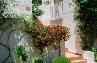 Kalimera Village - Foto 78