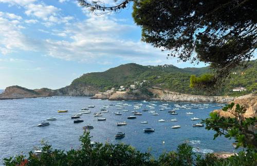 Lovely Appartment in Cap Sa Sal - Foto 24