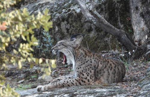 Casa rural rio yeguas - Foto 13