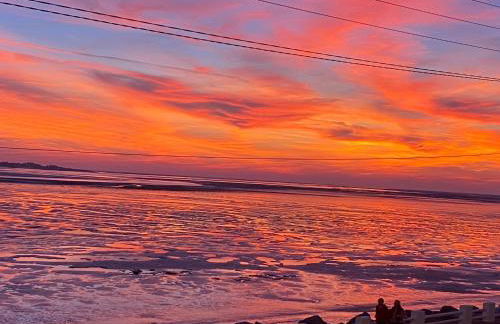 VUE BAIE La Sauvagine 1 - Foto 16