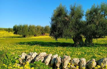 Casa Teresa - Foto 20