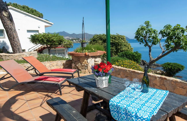 El Paraiso - Foto 14