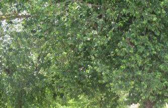 Casa Las Torres - Foto 22