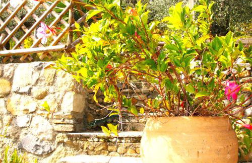 DOLCE VITA CIAIXE - Photo 74