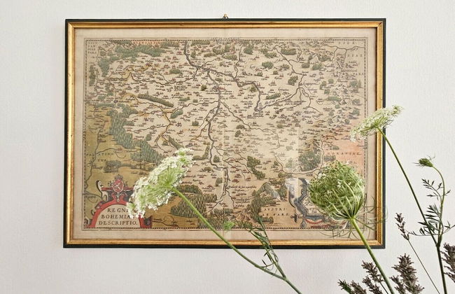 Orange Palm - Foto 32