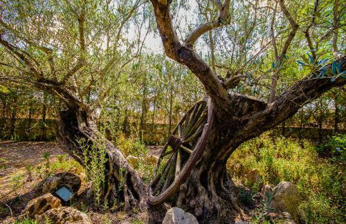 Can Pascolet - Foto 66