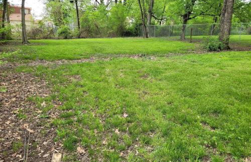 Cozy Delightful Private Studio near Rhodes College, Shuttle, & Vehicle Rental - Foto 24