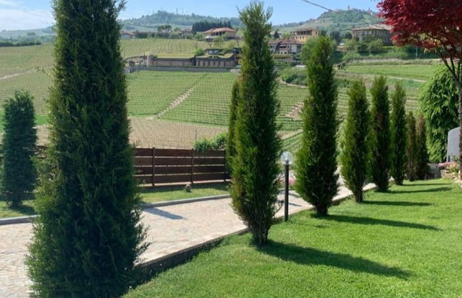 Red Wine - Guest House - Foto 45