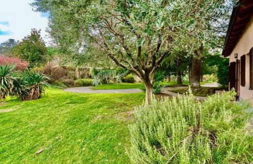 Loft con Vigna sui Colli Bolognesi - Villa Govi Pancaldi - Foto 20