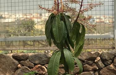 Casa de Los Alberconcillos - Foto 22