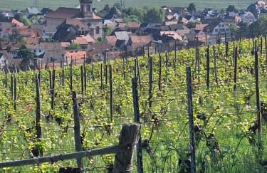 Maison individuelle, 10 minutes de Colmar 4 chambres - 8 personnes - 2 sdb - Foto 22