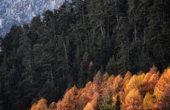 Chalet Tir Longë - Foto 35