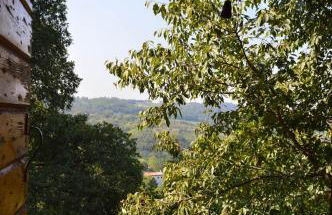 Colle Del Barbarossa - Foto 64