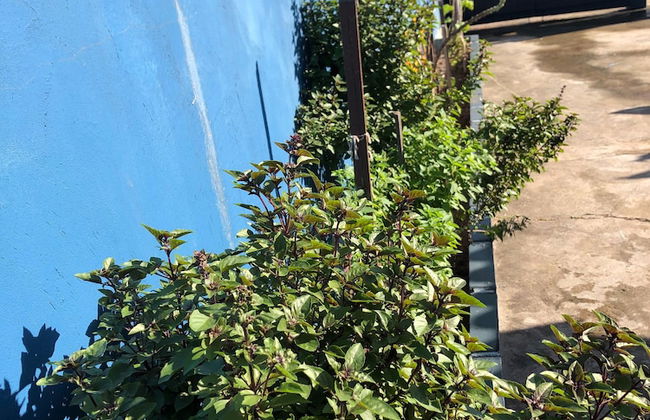 Casa Caribe - Foto 23