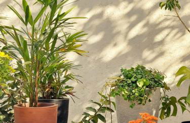 Statera Host - Foto 16