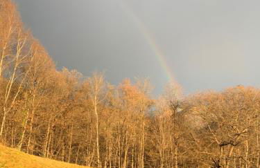 Mountain Chalet Ca' dal Ghiru by Villa Bernardino Galliari - Foto 12