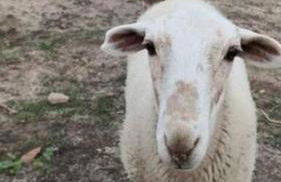 Beautiful spot for remote work (and romance!) - Foto 4