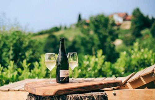 Secluded holiday house Marija Gorica, Prigorje - 23083 - Foto 5