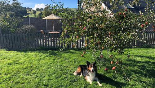 Ty Gylfinir - Foto 3