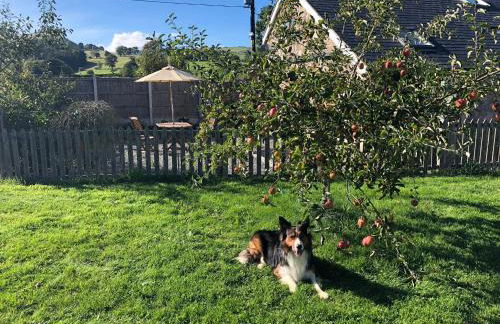 Ty Gylfinir - Foto 3