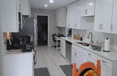 The Playful Pelican - Foto 31