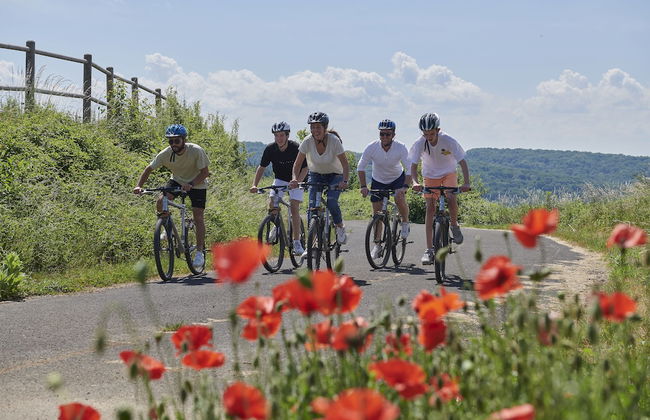 Vallée les Etoiles - Foto 49