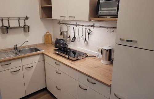 Monteurswohnung Roßwein - Zentral - Küche - Foto 10