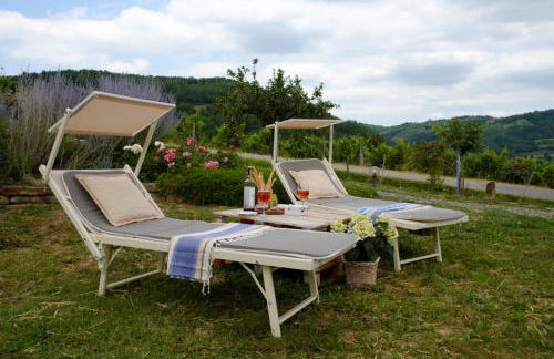 Tre colline in langa - Foto 5