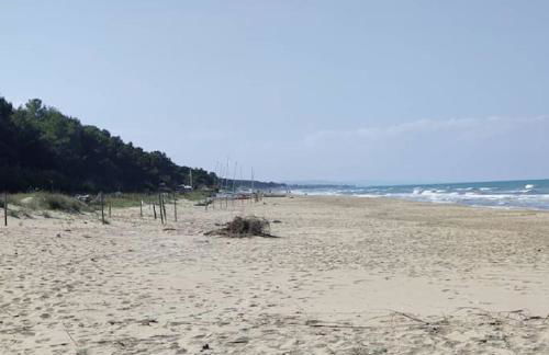 HolidayHome Manetta tra Mare e Natura - Photo 16