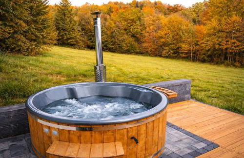 Leśna Muzyka Apartment Limanowa - Photo 1