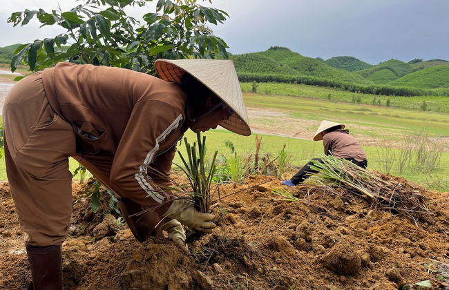 Nguyen Shack Retreat - Foto 65