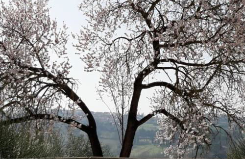 Casale Ziarelli - Photo 12