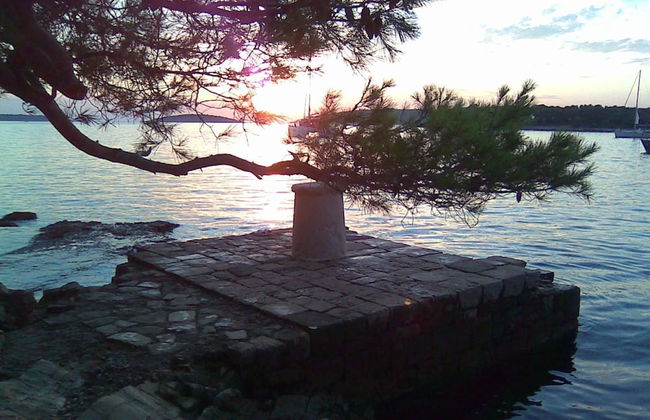 Apartments Oliva - Foto 29