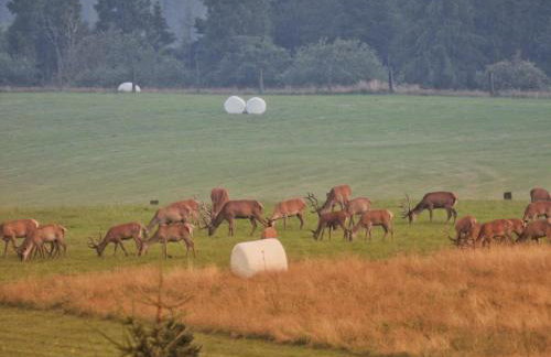 VIA Bieszczady - Foto 52