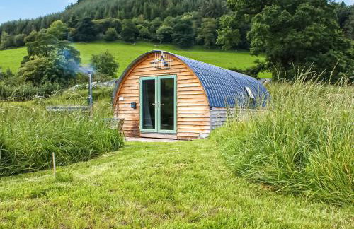 Barcud Coch - Uk44539 - Foto 19