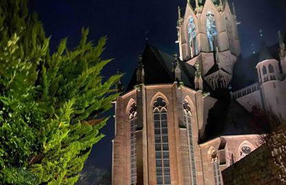 Schönster Blick auf Oppenheim! - Foto 12