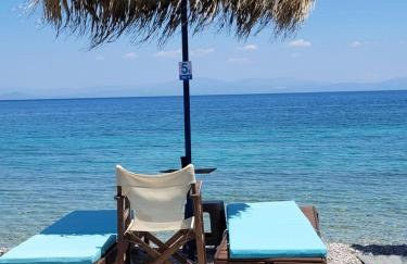 Lovely traditionnal house with sea view - Photo 45