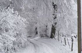 Belka am Rursee - Foto 25