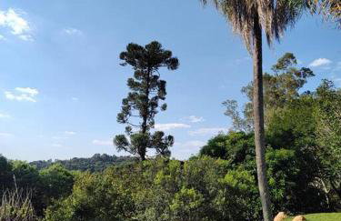 Recanto da Zizi e do Nezico - Foto 12