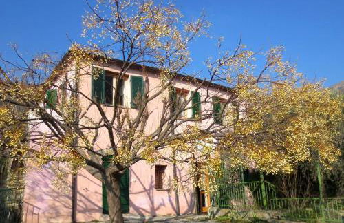 Country House With Big Garden - Photo 6