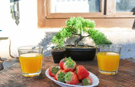 Villa Donatella - Foto 7