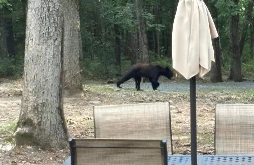 Lakeside Retreat on 10 Secluded Acres - Foto 52