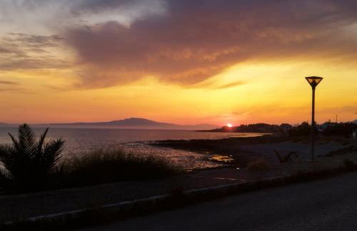 Selo Apartments Mani - Foto 30