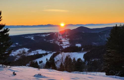 bel appartement 3 pièces dans la Résidence Vosges-Alsace Orbey - Foto 33