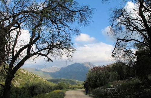 Andalusian House With Private Pool in the Picturesque Village of Zagrilla Alta - Foto 58
