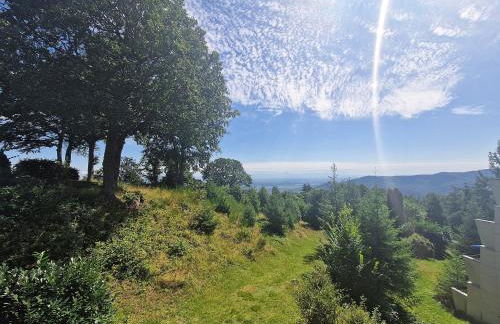 Studio au-dessus des nuages - Parking privé - Foto 34