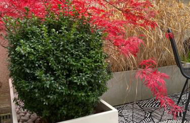 Como Design-Apartment close to Isar river area - centrally located - Foto 29